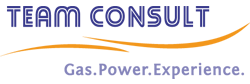 TEAM CONSULT